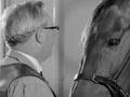 X-raying a horse, 1962