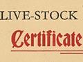 Certificate of special merit (2nd of 2)