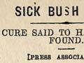 Apparent bush sickness cure