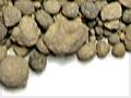 Granules