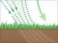 Phosphate cycle in grazed pasture