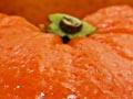 Citrus fruits