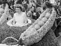 Peas float, Hastings Blossom Festival