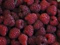 Weighing raspberries