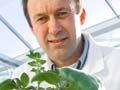 Dr Tony Conner and GM potato
