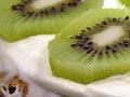 Pavlova