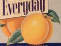 Wattie’s peaches label (2nd of 3)