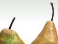 Pear varieties
