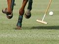 Polo (3rd of 3)