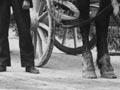 Horse-drawn public transport