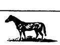 Interactive: Horses in Te Wānanga