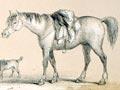 Horses in daily life (4th of 4)