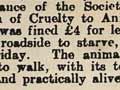 Animal cruelty case