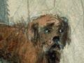 A musterer’s dog
