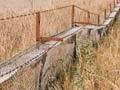 Rabbit fencing