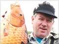 Bow hunter and koi carp