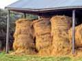 Hay barn and round bales