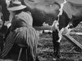 Woman milking a cow