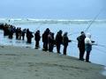 Salmon fishing