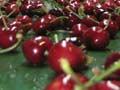 Cherry graders