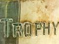 Trophy for horses