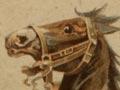 Rough Rider (1st of 2)