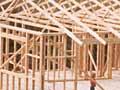 Radiata pine house framing