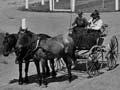 Main Street, Te Puke, 1917 (1st of 2)