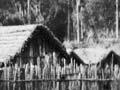 Te Kūiti pā