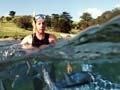 Swimming in a marine reserve
