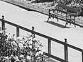 Wellington Botanic Garden, 1910
