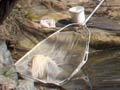 Fishing, Warkworth