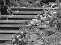 Grave of unidentified victims