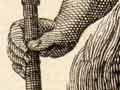 French sketch of a Māori