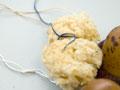 Sea sponge