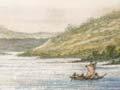Collecting seafood at Porirua Harbour