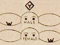 27115-wm-th.jpg