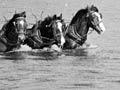 River crossing, 1940