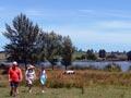 Lake Ngāroto