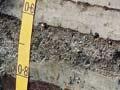 Recent soil, near Franz Josef