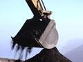 Video: ‘The caviar of coals’