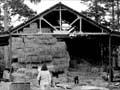 Audio: Hay barn, Sunburst ohu