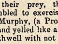 Charles Southwell's electioneering