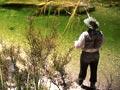 Fly fishing