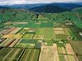 Waimea Plains: looking south-east