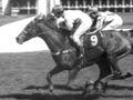 Race winner