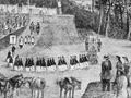 Fenian procession, 1868
