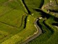 The Hauraki Plains