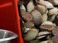Seafood industry
