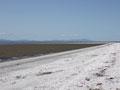 Chenier plain, Firth of Thames
